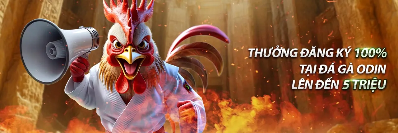 Hình ảnh chính của blog 01WIN55 với chủ đề cá cược trực tuyến và giải trí hàng đầu Việt Nam